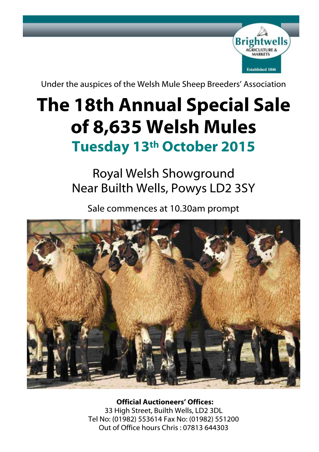 The 18Th Annual Special Sale of 8,635 Welsh Mules Tuesday 13Th October 2015