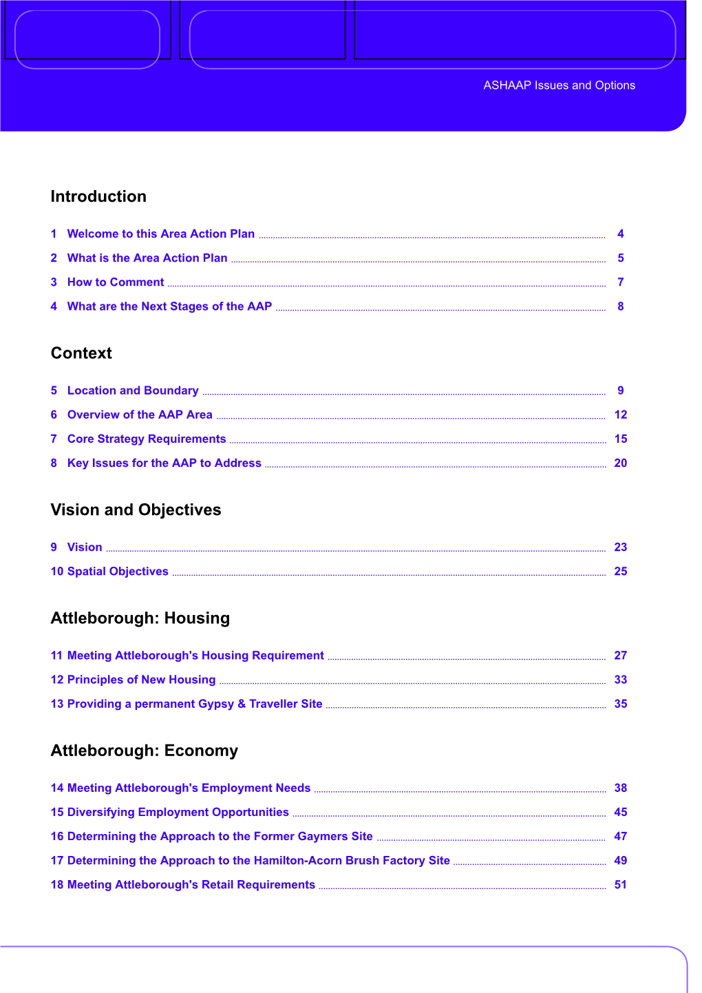 ASHAAP Issues and Options