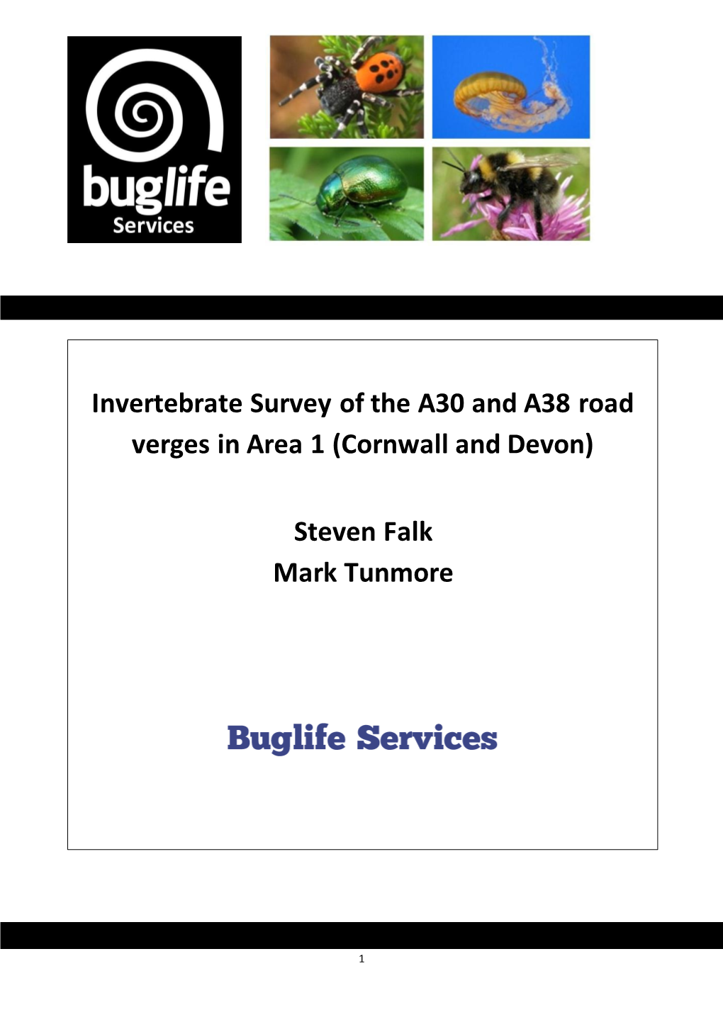 Invertebrate Survey of the A30 and A38 Road Verges in Area 1 (Cornwall and Devon) Steven Falk Mark Tunmore October 2015