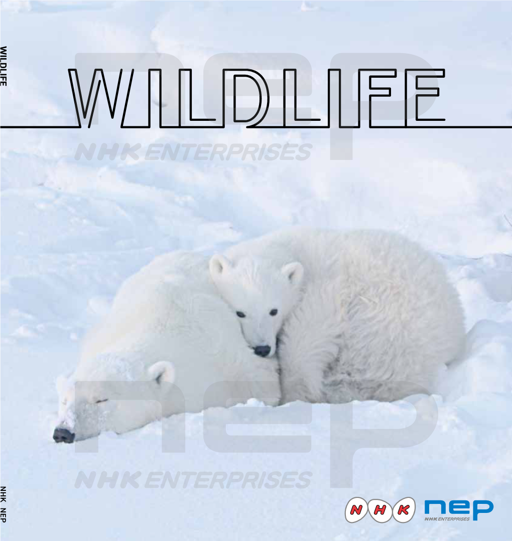 NEP WILDLIFE 2018 Catalog