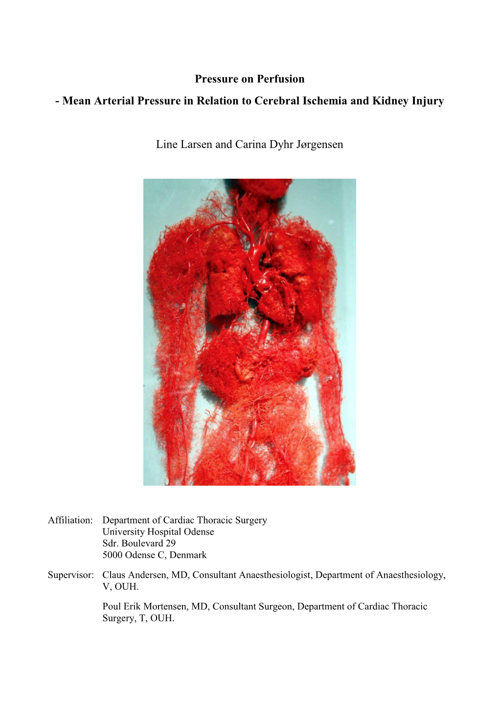 Pressure on Perfusion - Mean Arterial Pressure in Relation to Cerebral Ischemia and Kidney Injury