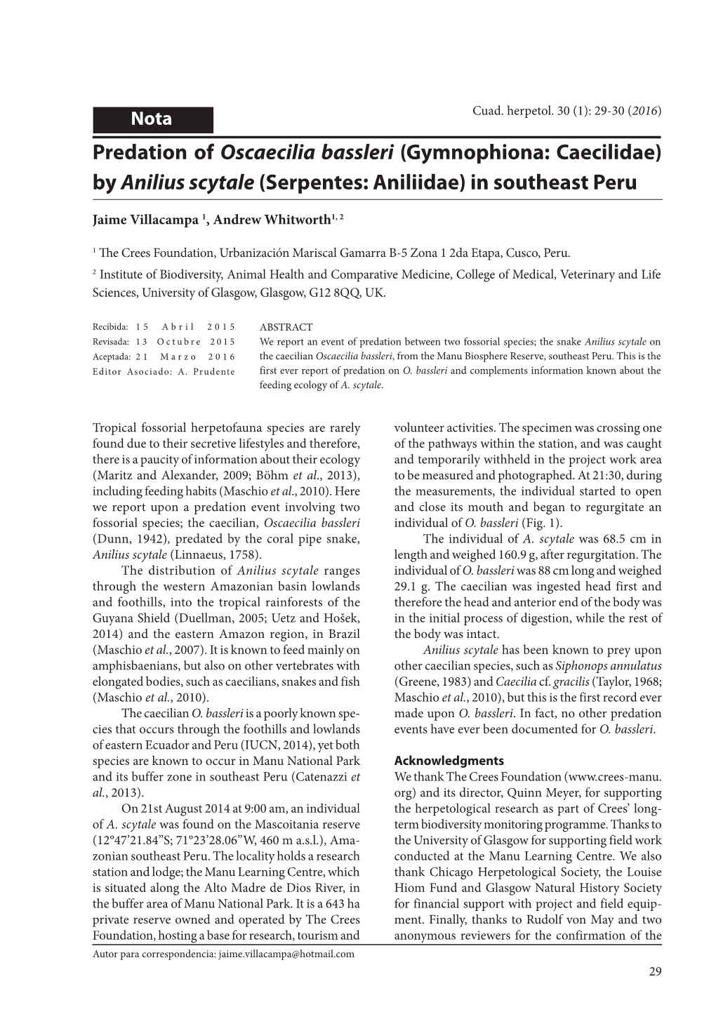 Predation of Oscaecilia Bassleri (Gymnophiona: Caecilidae) by Anilius Scytale (Serpentes: Aniliidae) in Southeast Peru