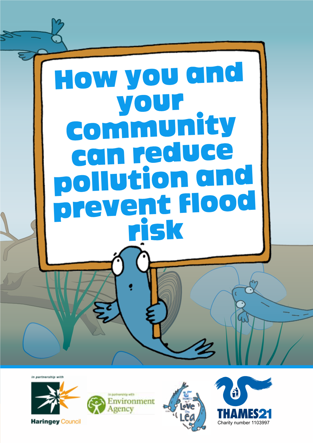 How You and Your Community Can Reduce Pollution and Prevent Flood Risk
