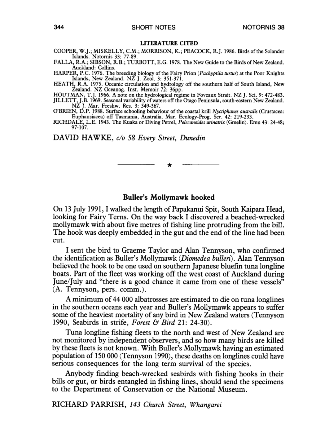 Buller's Mollymawk Hooked on 13 July 1991, I Walked the Length of Papakanui Spit, South Kaipara Head, Looking for Fairy Terns