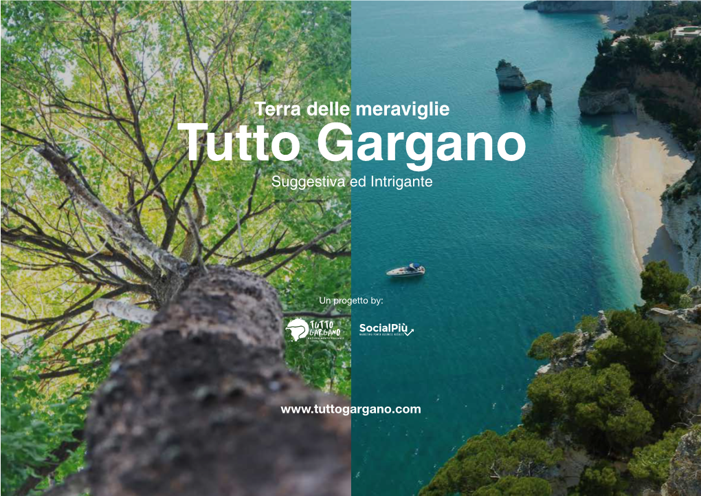 Tutto Gargano Suggestiva Ed Intrigante