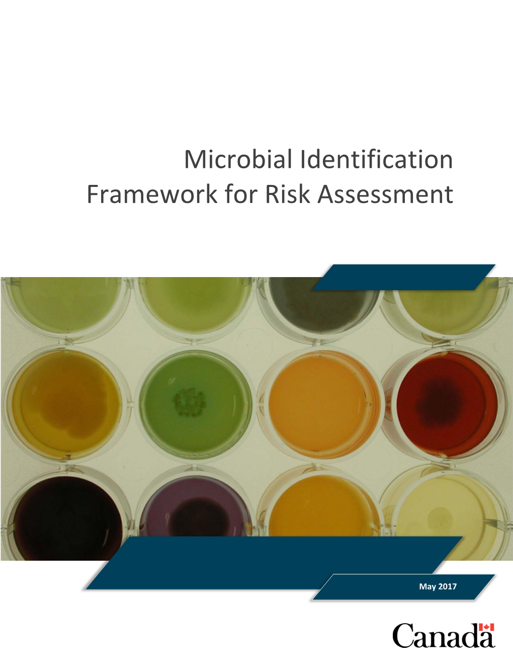 Microbial Identification Framework for Risk Assessment