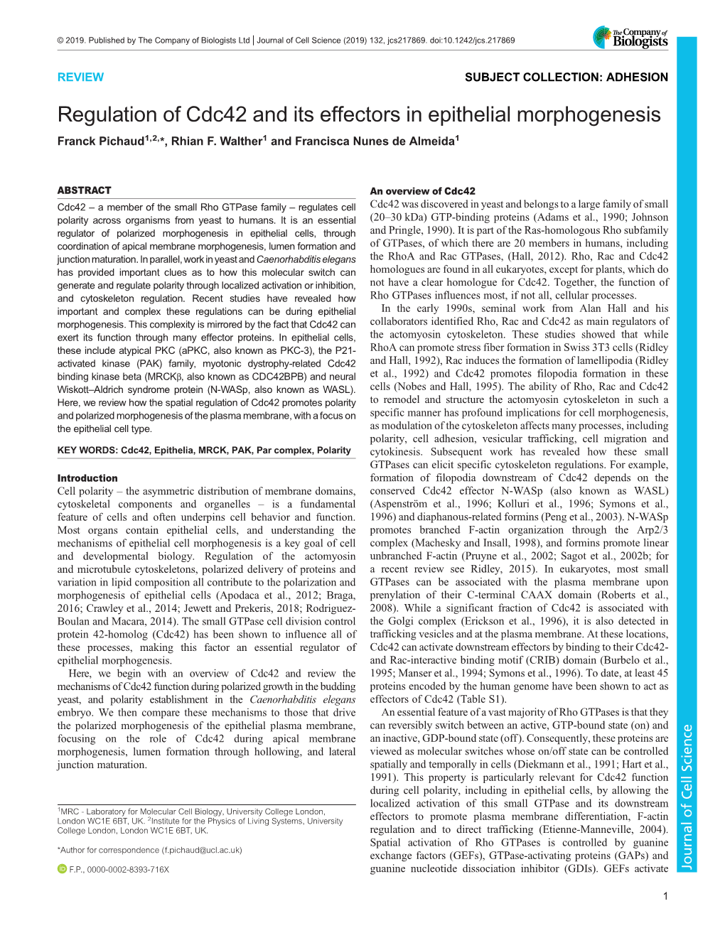 Regulation of Cdc42 and Its Effectors in Epithelial Morphogenesis Franck Pichaud1,2,*, Rhian F