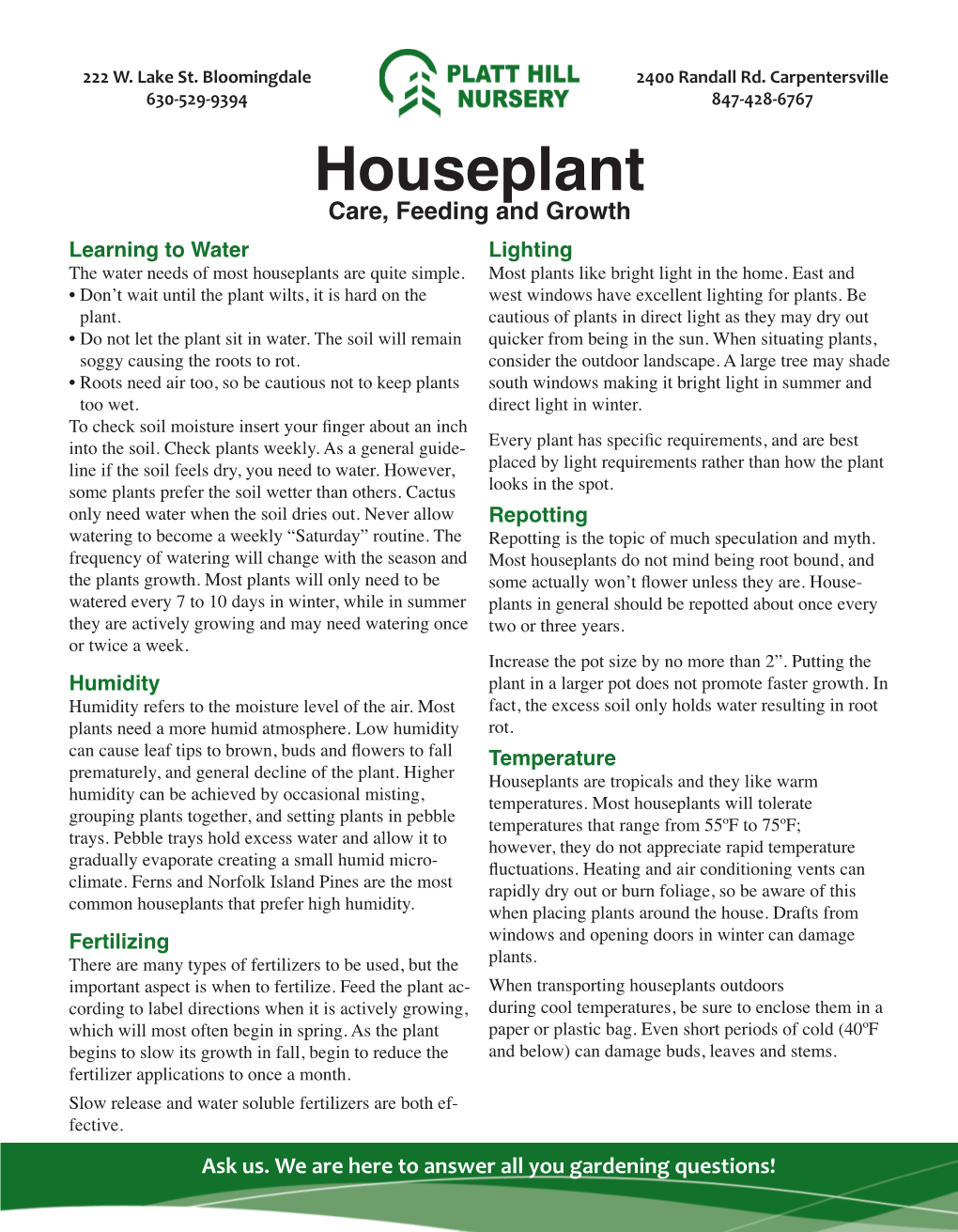 Houseplant Care