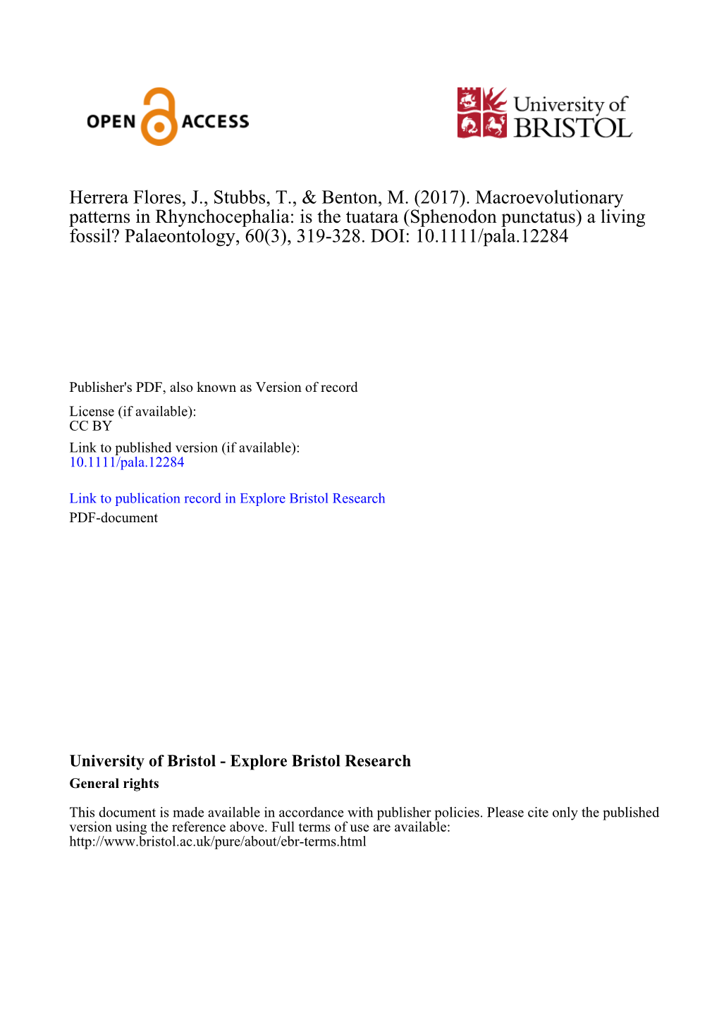 Macroevolutionary Patterns in Rhynchocephalia: Is the Tuatara (Sphenodon Punctatus) a Living Fossil? Palaeontology, 60(3), 319-328