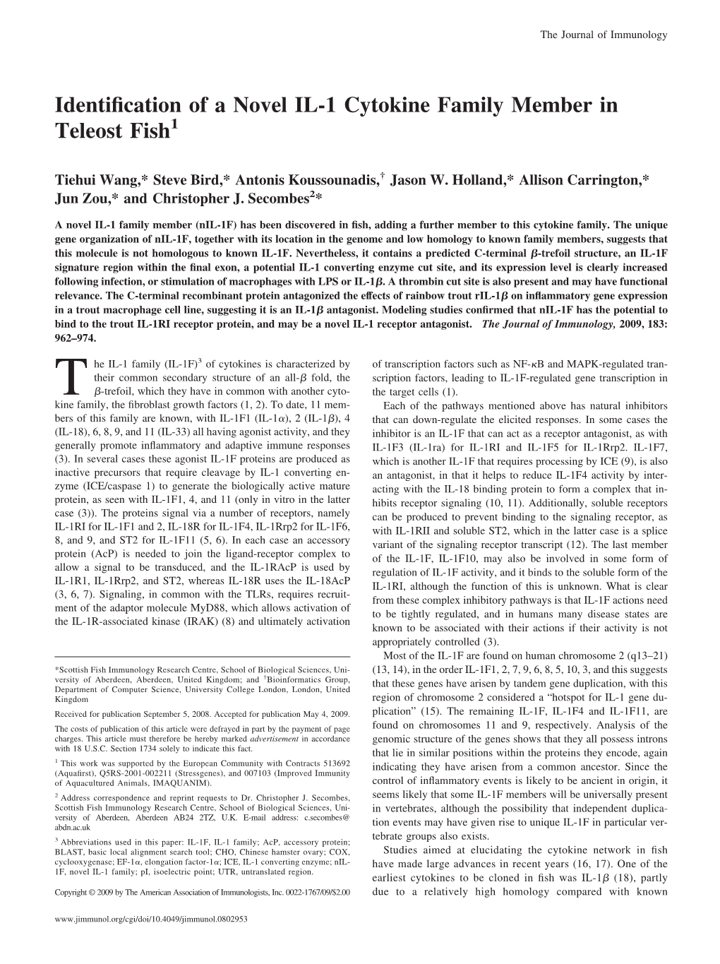 Family Member in Teleost Fish Identification of a Novel IL-1 Cytokine