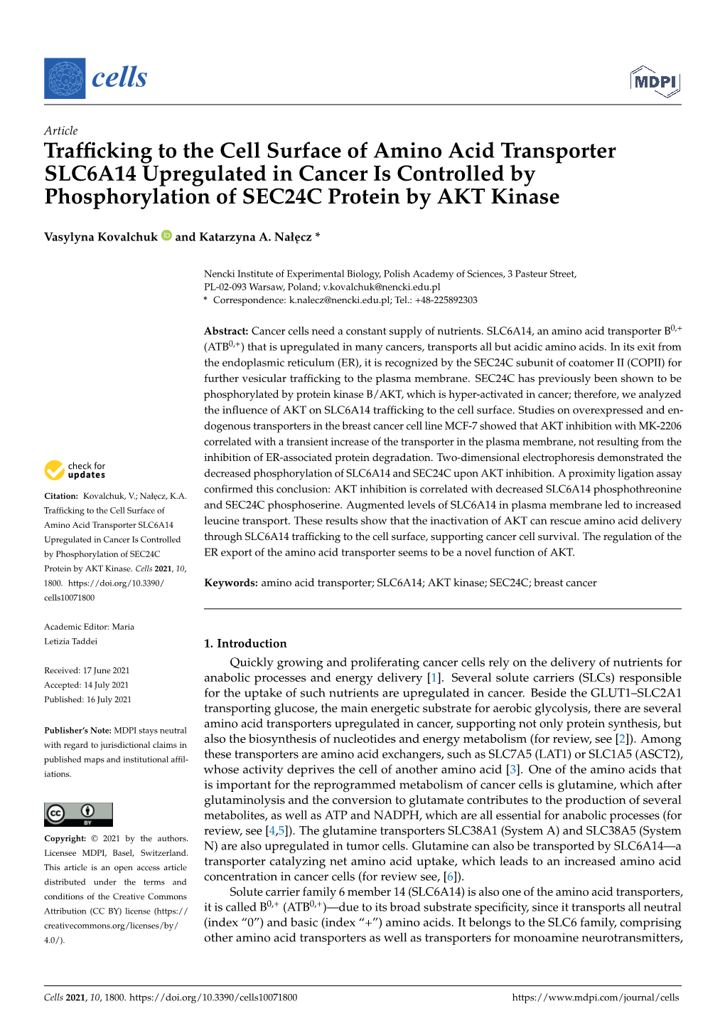 Trafficking to the Cell Surface of Amino Acid Transporter SLC6A14