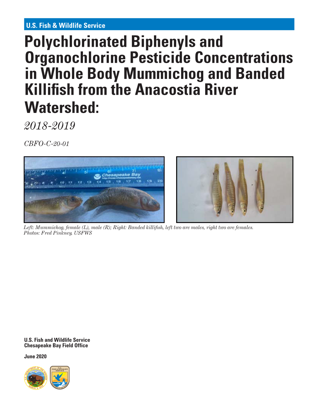 Polychlorinated Biphenyls and Organochlorine Pesticide Concentrations in Whole Body Mummichog and Banded Killifish from the Anacostia River Watershed: 2018-2019