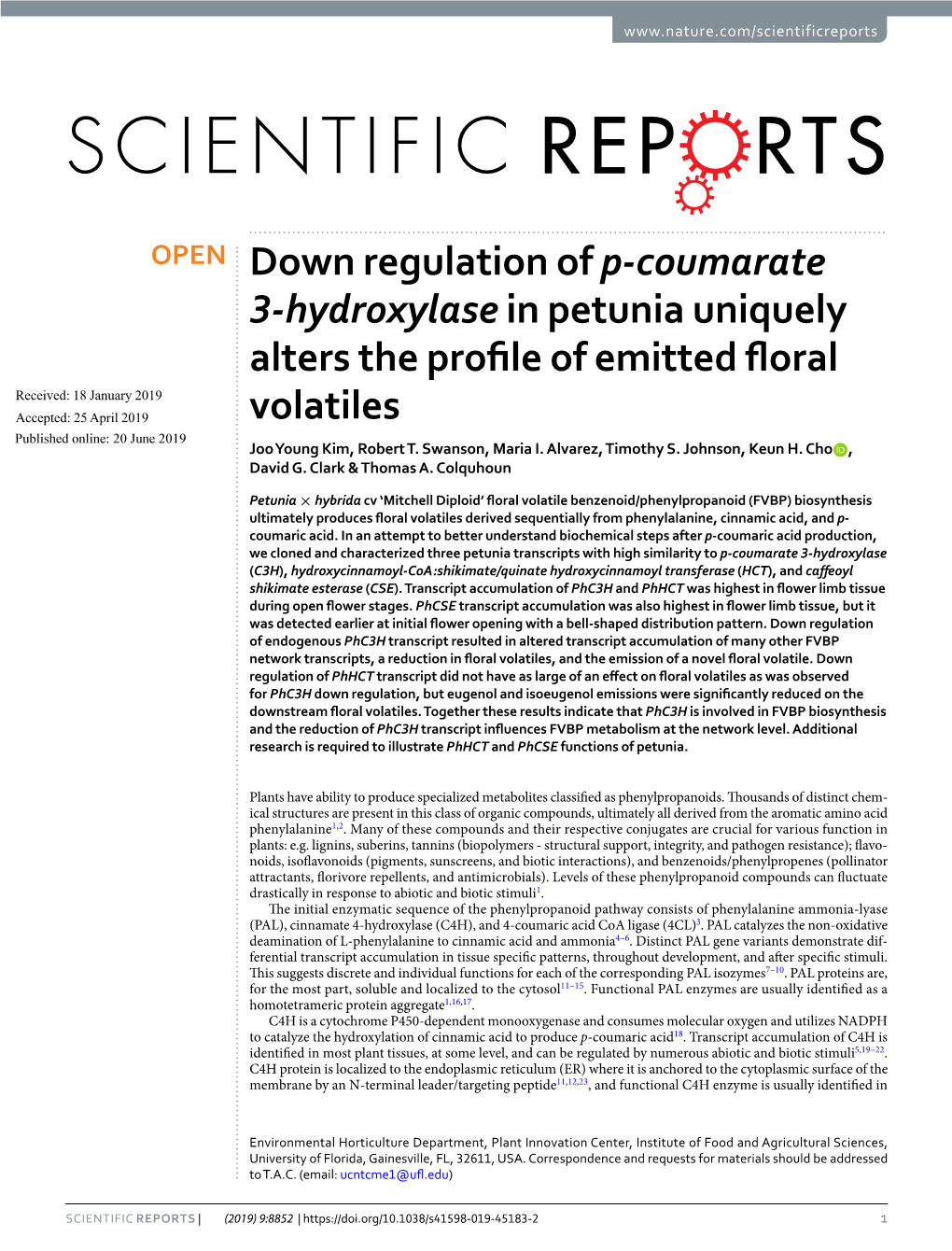 Down Regulation of P-Coumarate 3-Hydroxylase in Petunia Uniquely