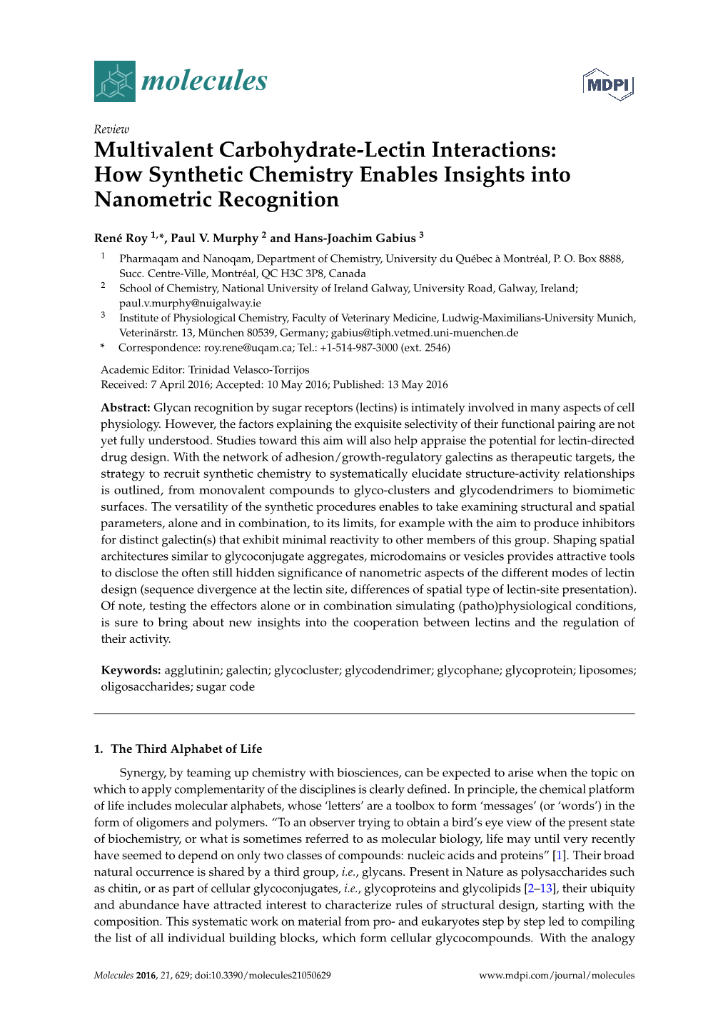 Multivalent Carbohydrate-Lectin Interactions: How Synthetic Chemistry Enables Insights Into Nanometric Recognition