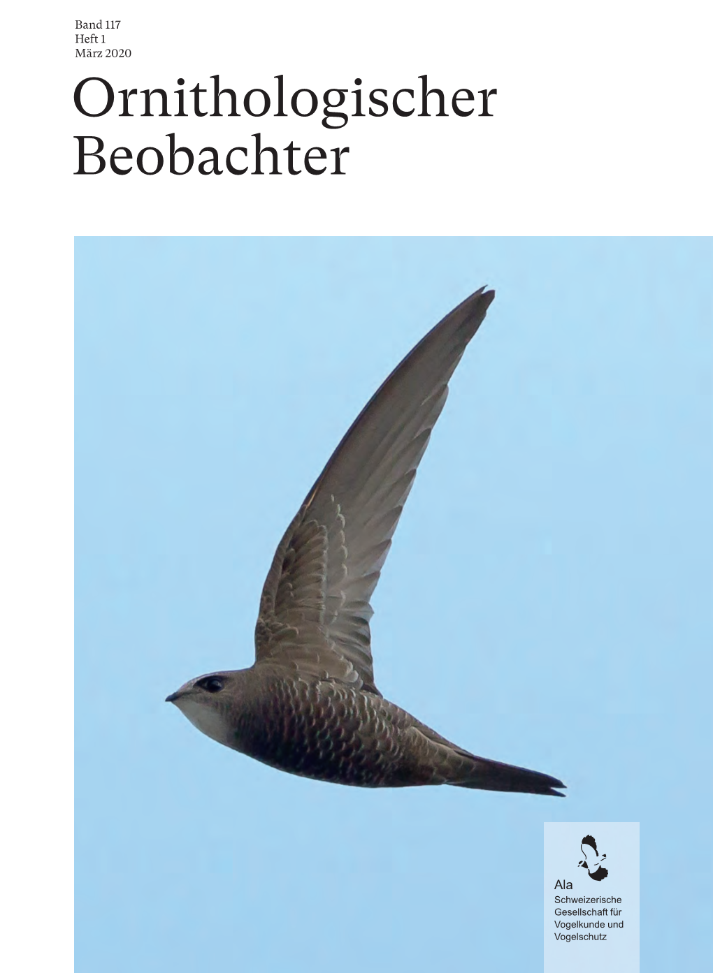 Ornithologischer Beobachter Band , Heft , Band , Ornithologischer Beobachter