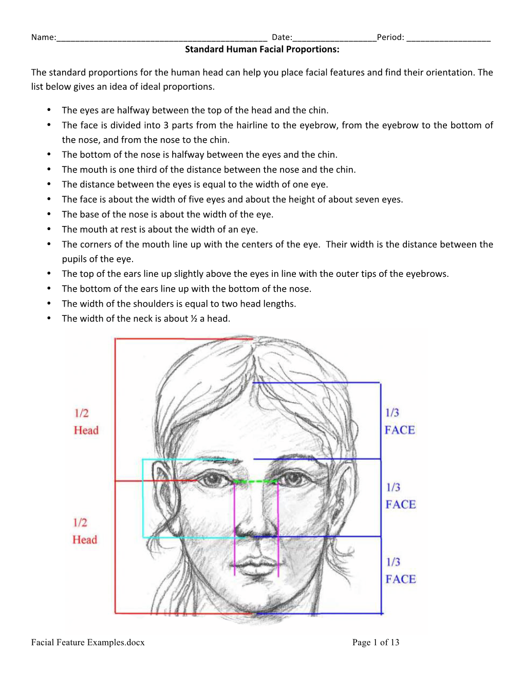Standard Human Facial Proportions