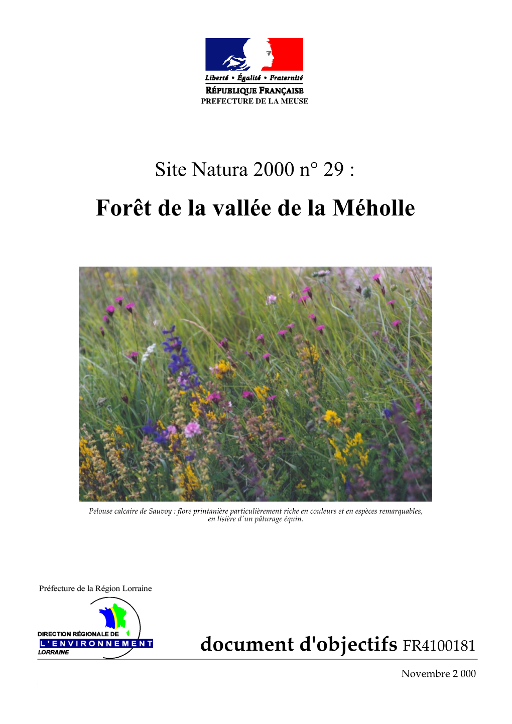 Forêt De La Vallée De La Méholle