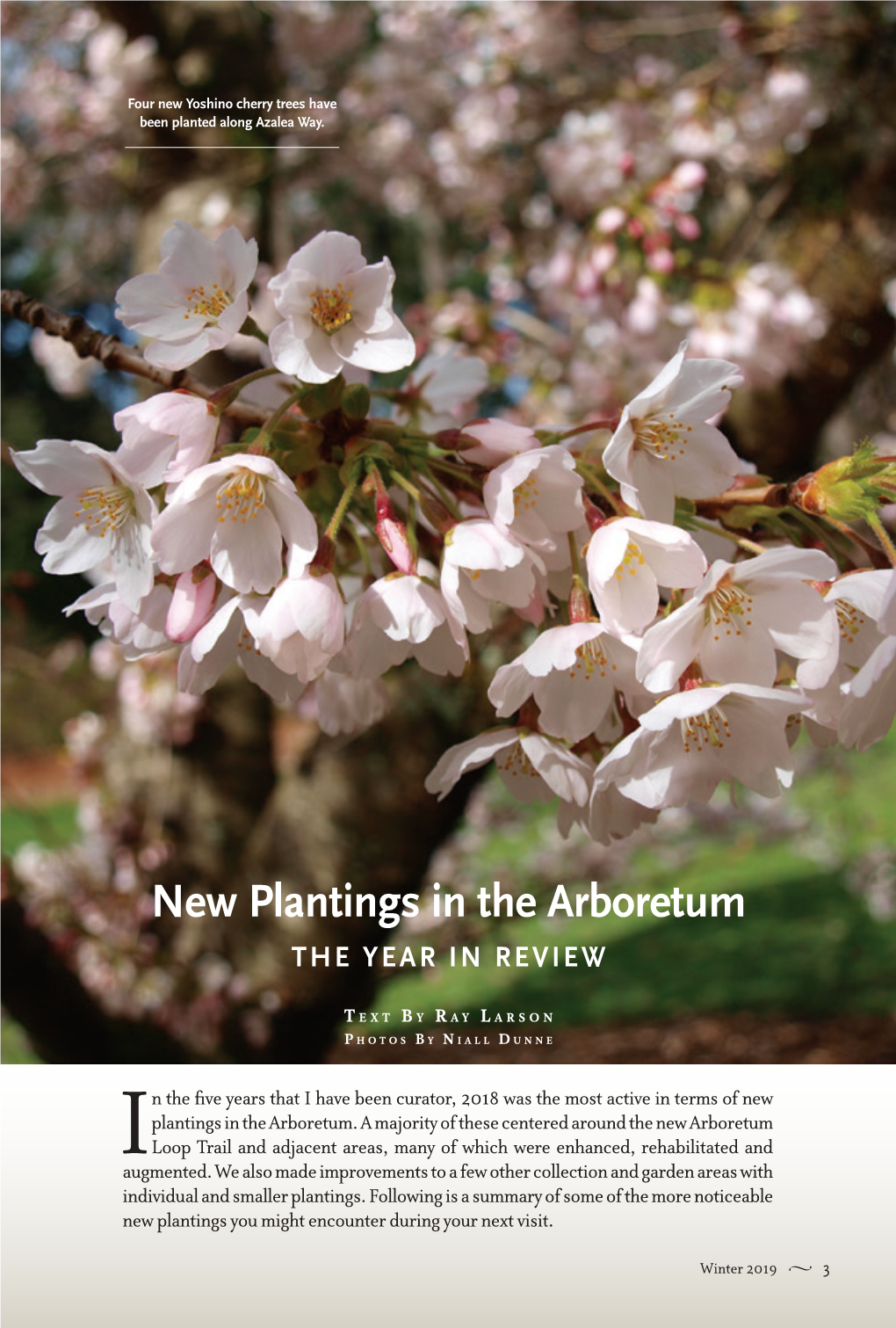 New Plantings in the Arboretum the YEAR in REVIEW