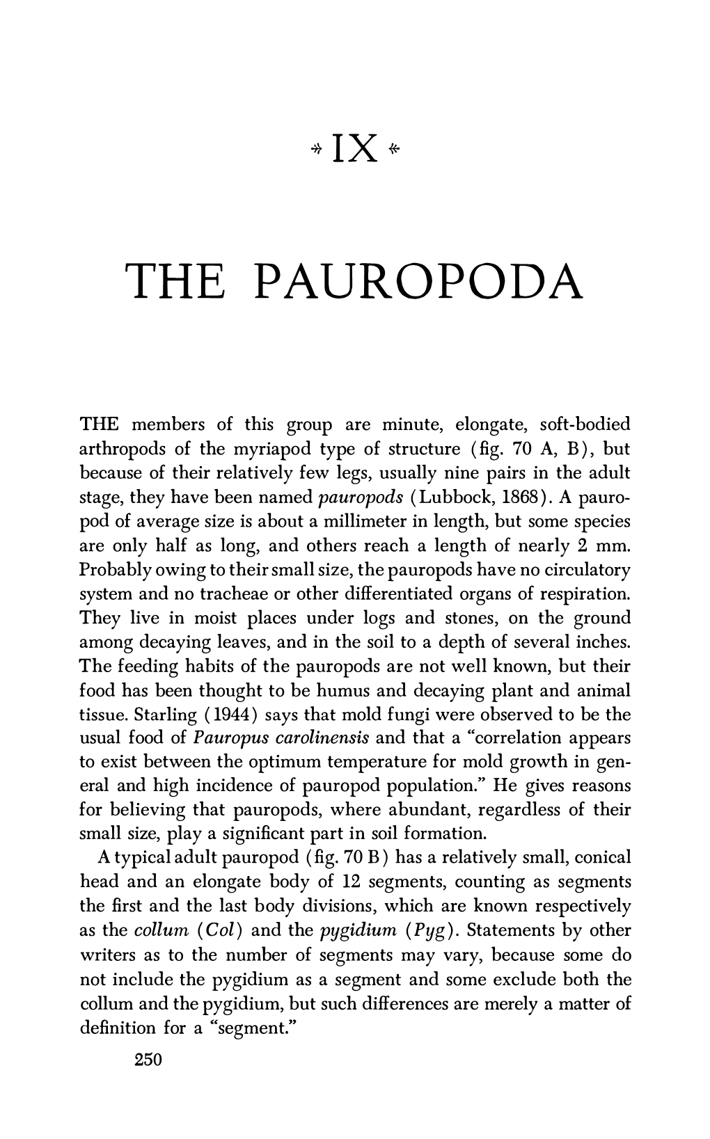 The Pauropoda