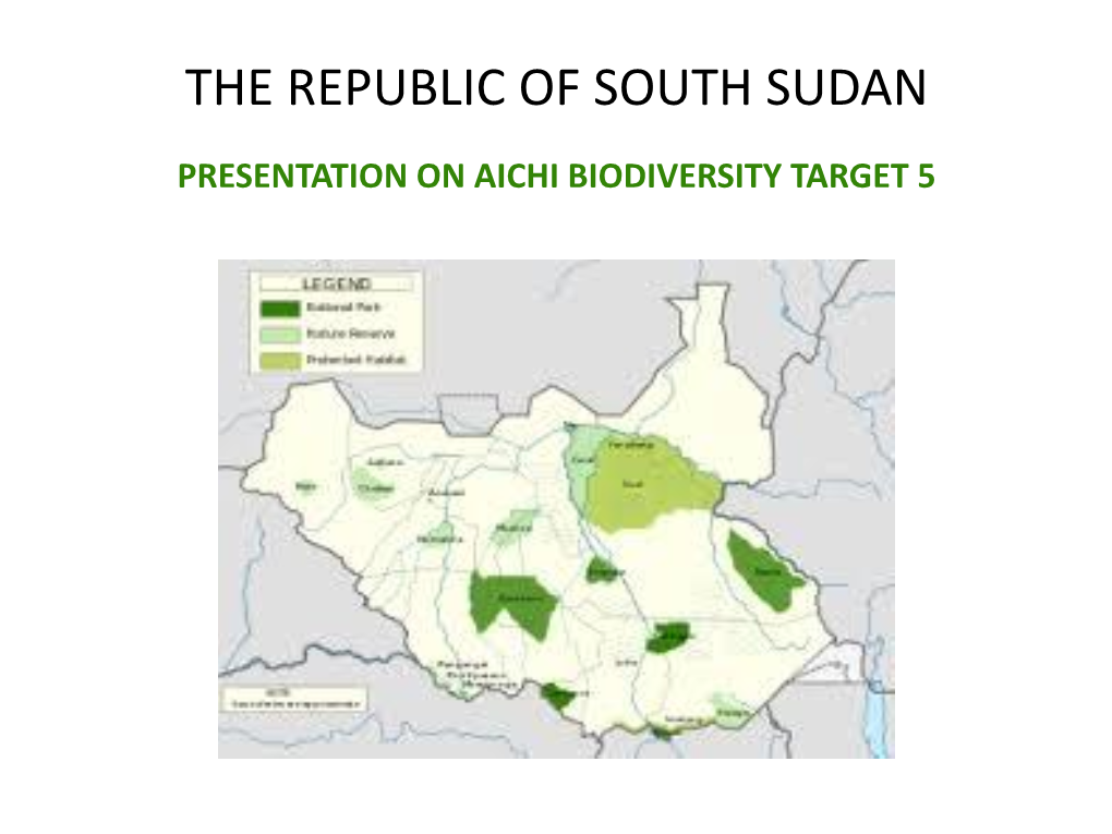 The Republic of South Sudan