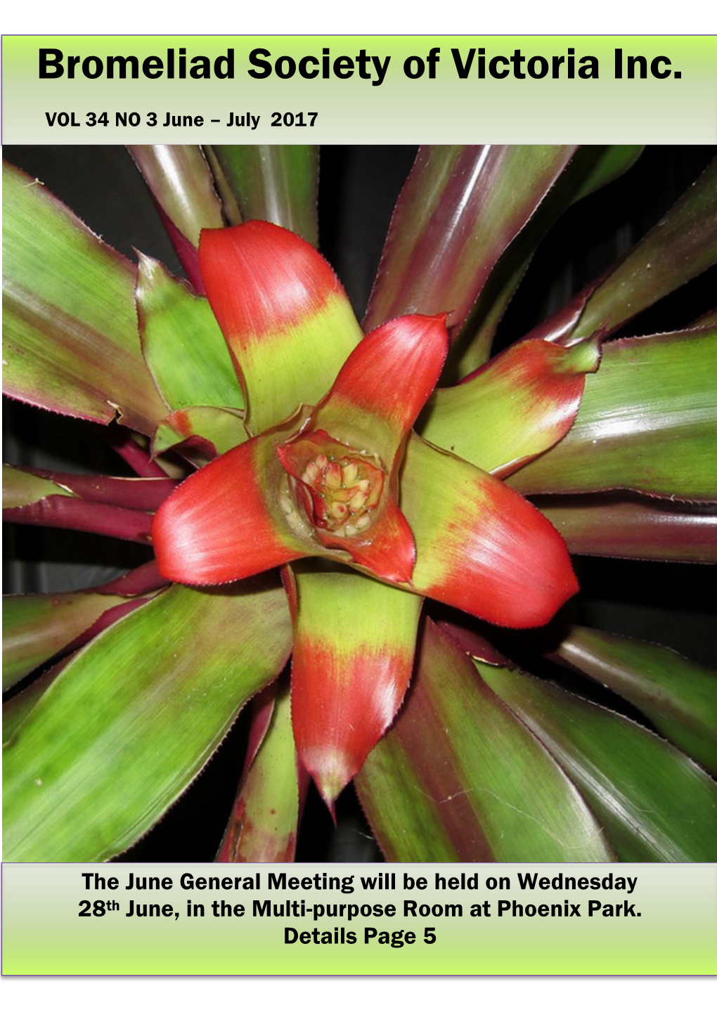 Bromeliad Society of Victoria Inc