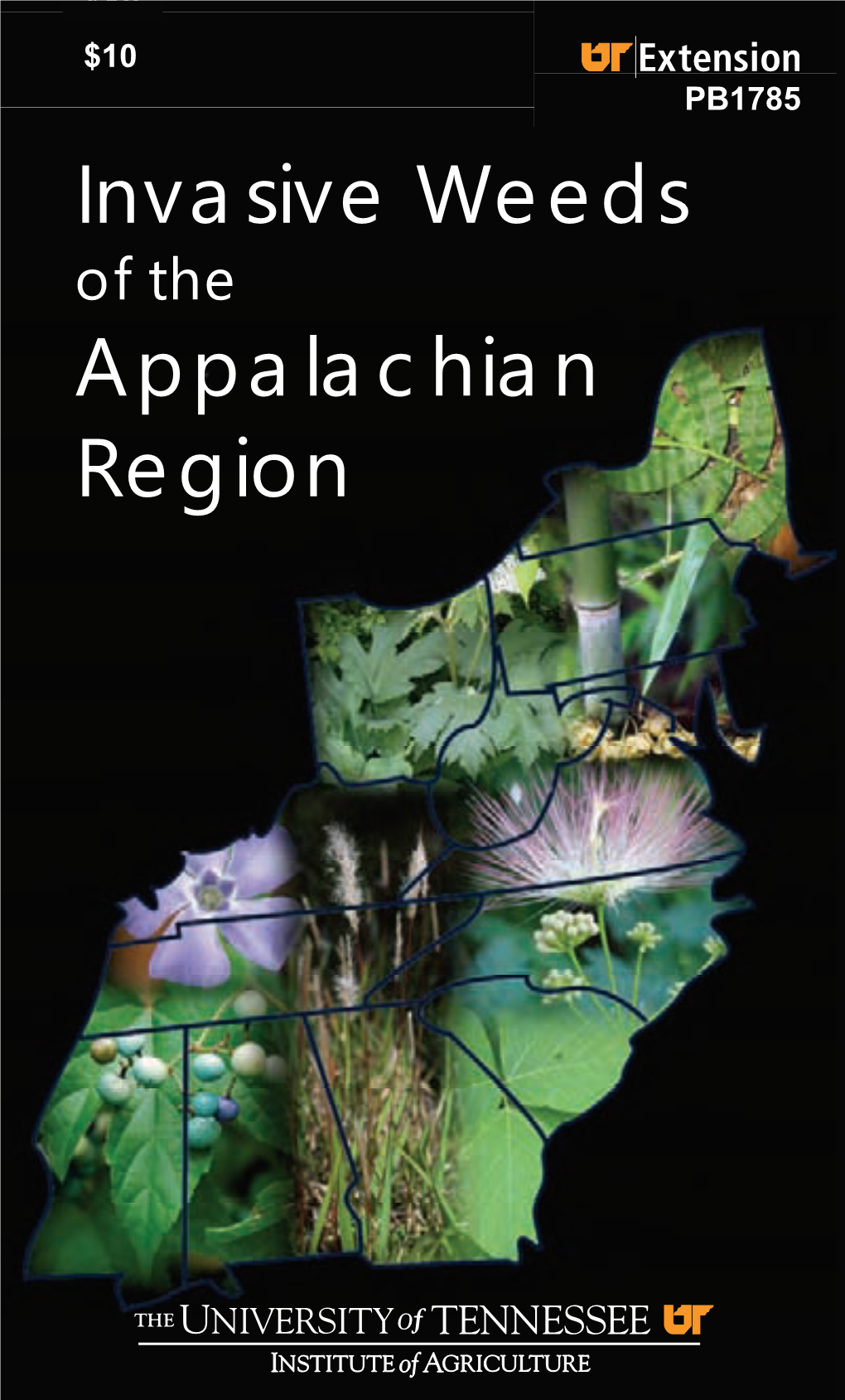 Invasive Weeds of the Appalachian Region