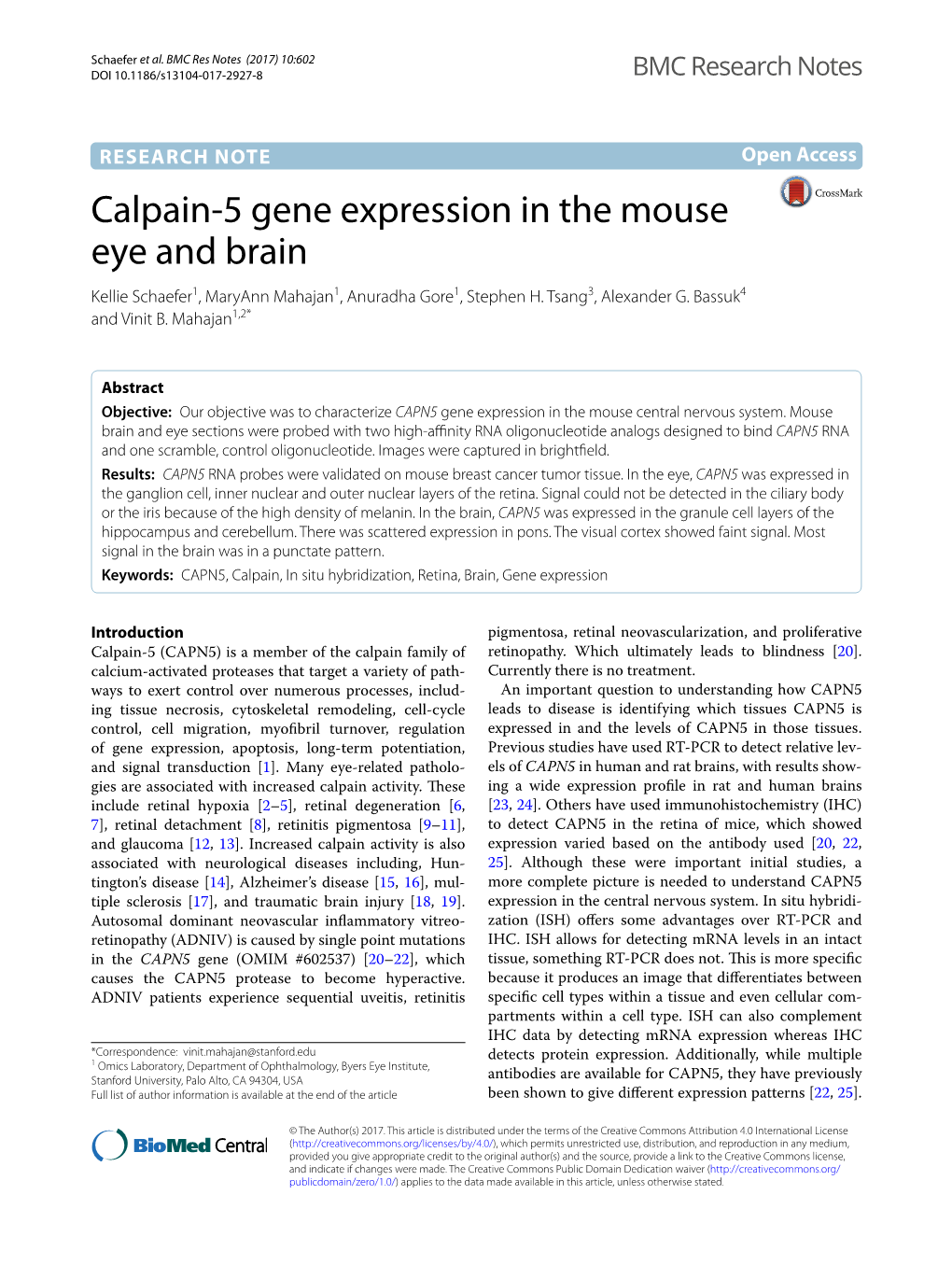 Calpain-5 Gene Expression in the Mouse Eye and Brain