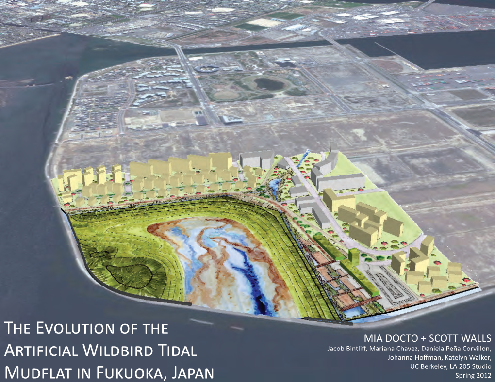 The Evolution of the Artificial Wildbird Tidal Mudflat in Fukuoka, Japan