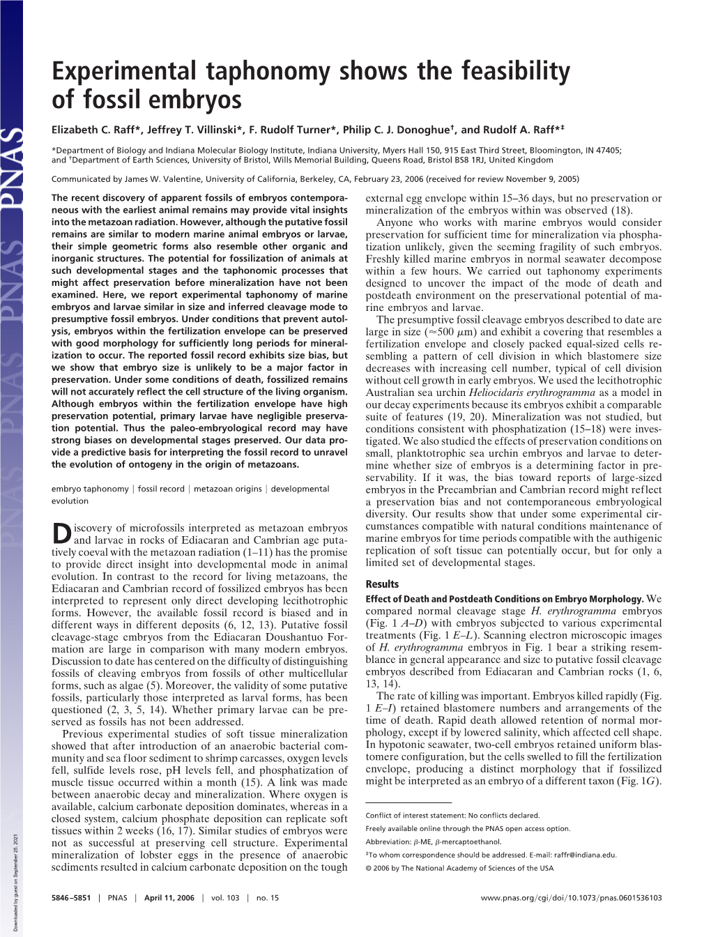 Experimental Taphonomy Shows the Feasibility of Fossil Embryos