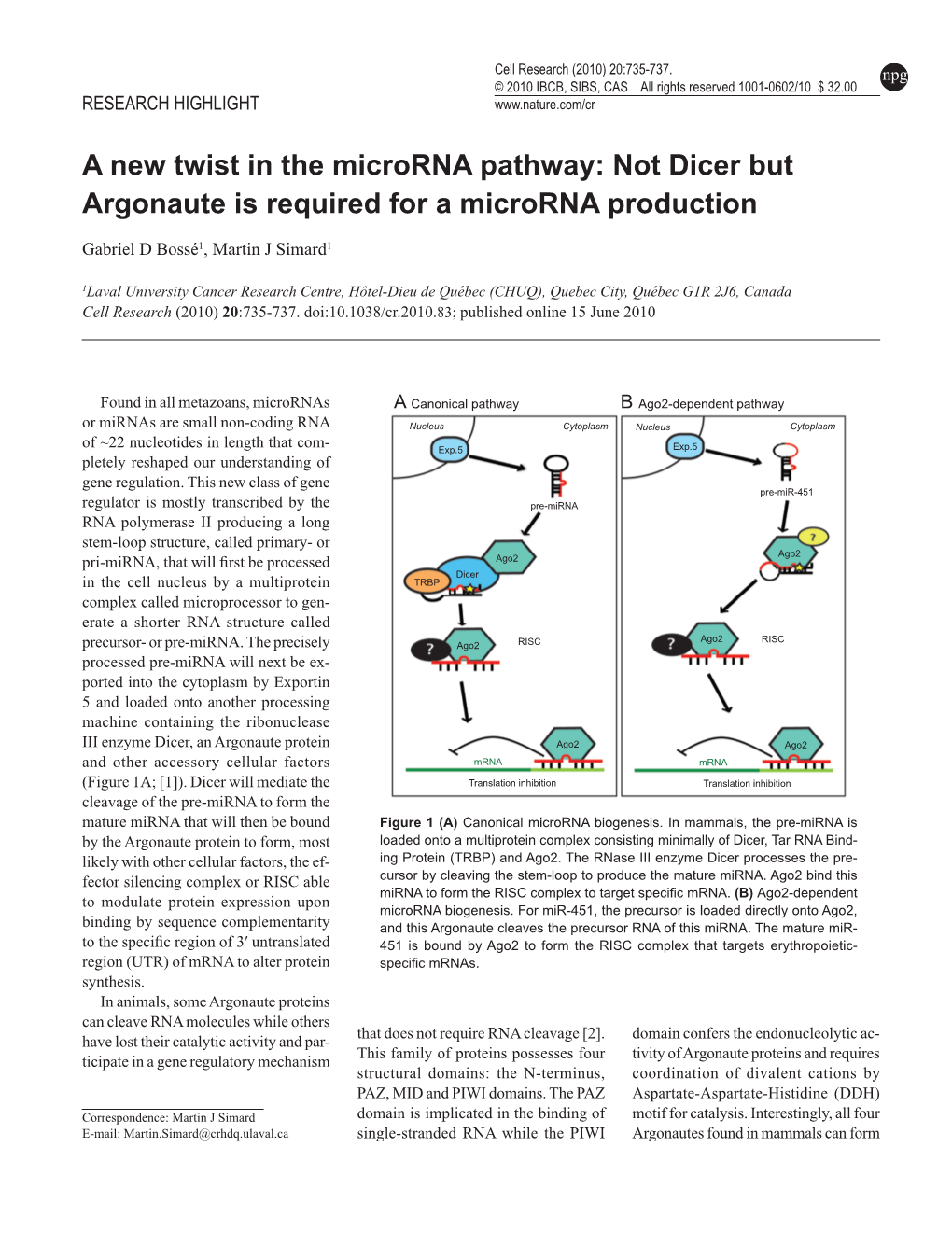 Not Dicer but Argonaute Is Required for a Microrna Production