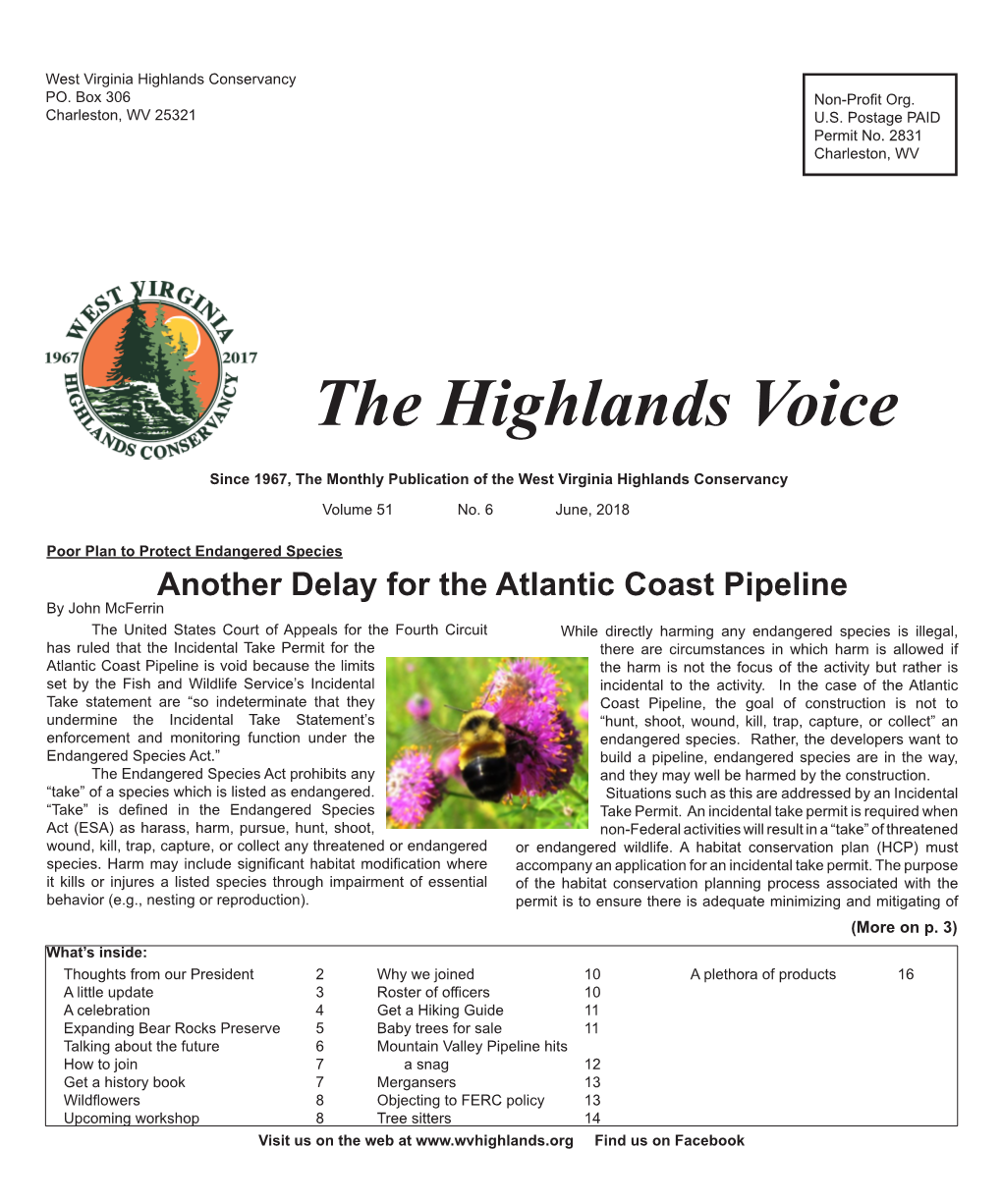 The Highlands Voice