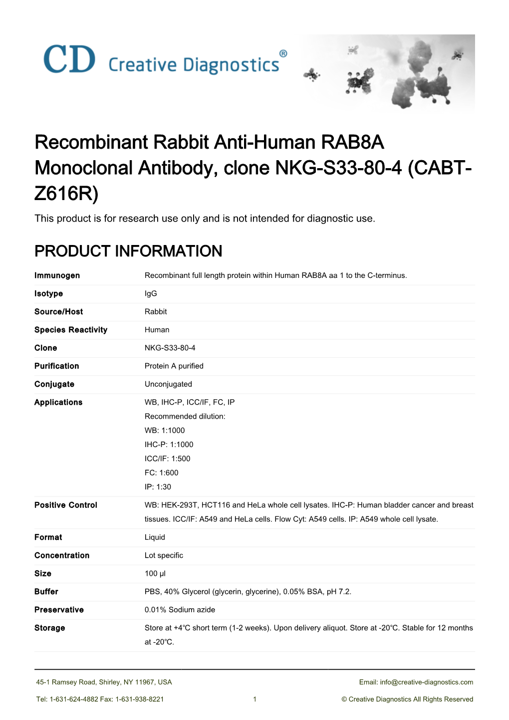 Recombinant Rabbit Anti-Human RAB8A Monoclonal Antibody, Clone NKG-S33-80-4 (CABT- Z616R) This Product Is for Research Use Only and Is Not Intended for Diagnostic Use