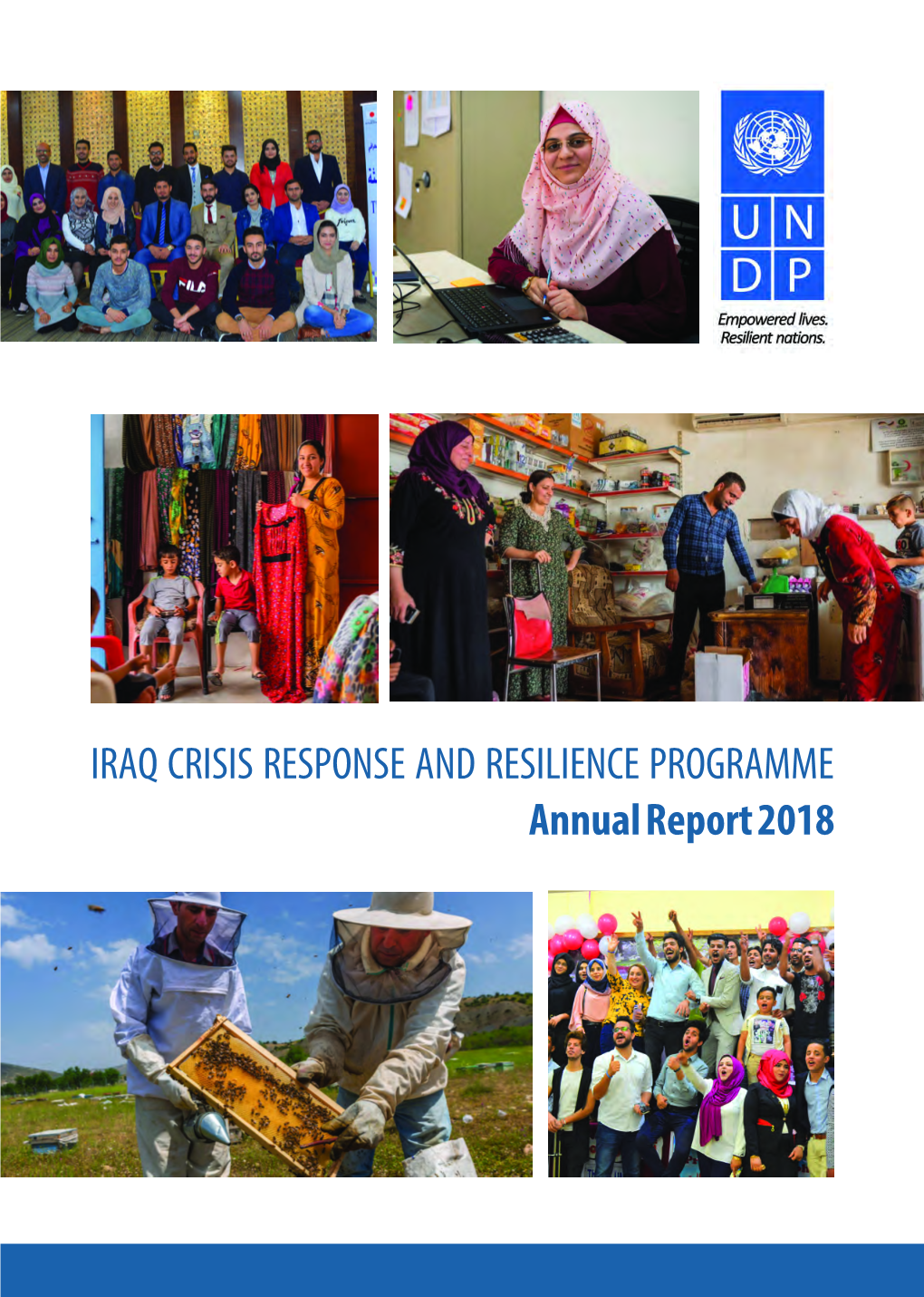 Iraq Crisis Response and Resilience Programme