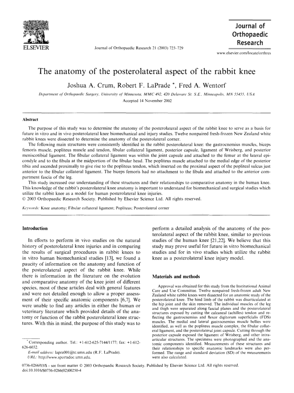 The Anatomy of the Posterolateral Aspect of the Rabbit Knee