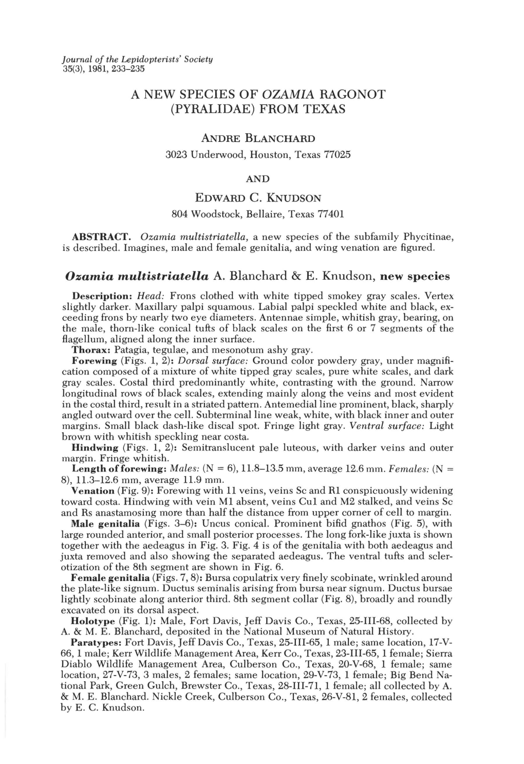 A New Species of Ozamia Ragonot (Pyralidae) from Texas