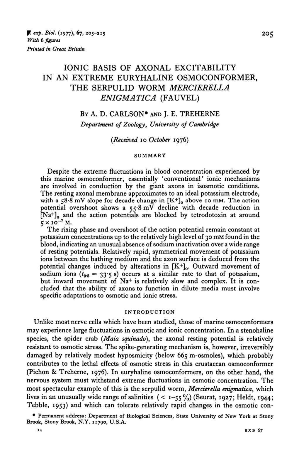 Ionic Basis of Axonal Excitability in an Extreme Euryhaline Osmoconformer, the Serpulid Worm Mercierella Enigmatic a (Fauvel) by A