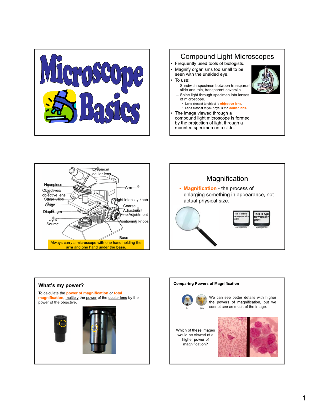 Compound Light Microscopes Magnification