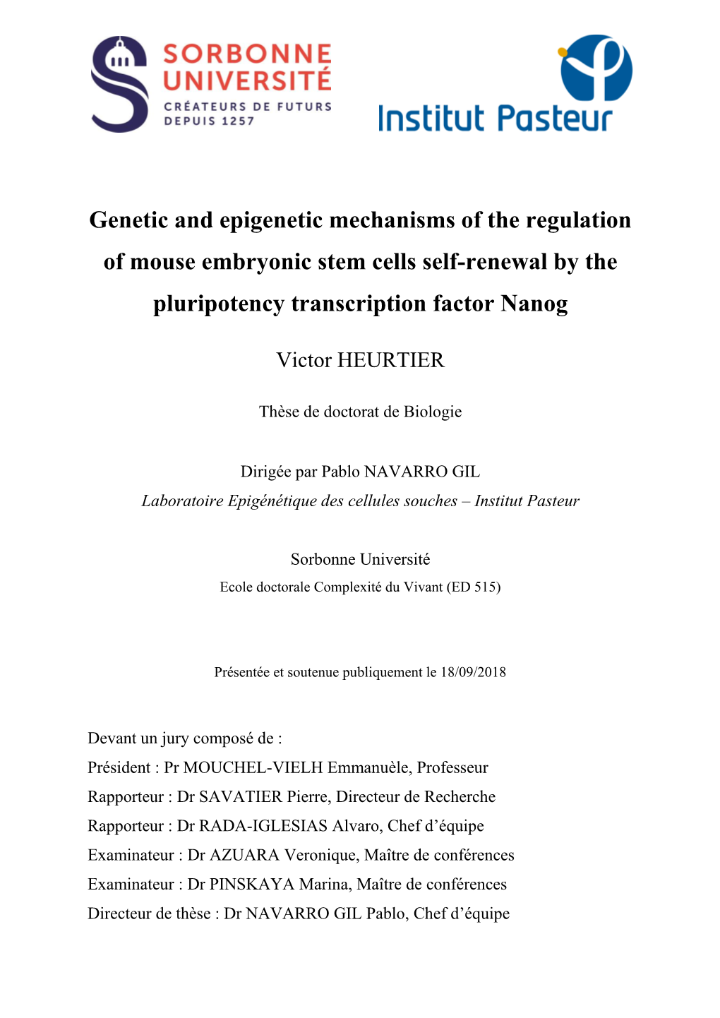 Genetic and Epigenetic Mechanisms of the Regulation of Mouse Embryonic Stem Cells Self-Renewal by the Pluripotency Transcription Factor Nanog