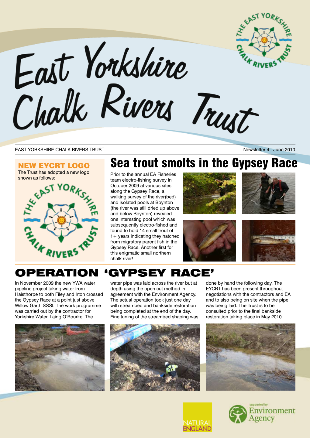 Sea Trout Smolts in the Gypsey Race