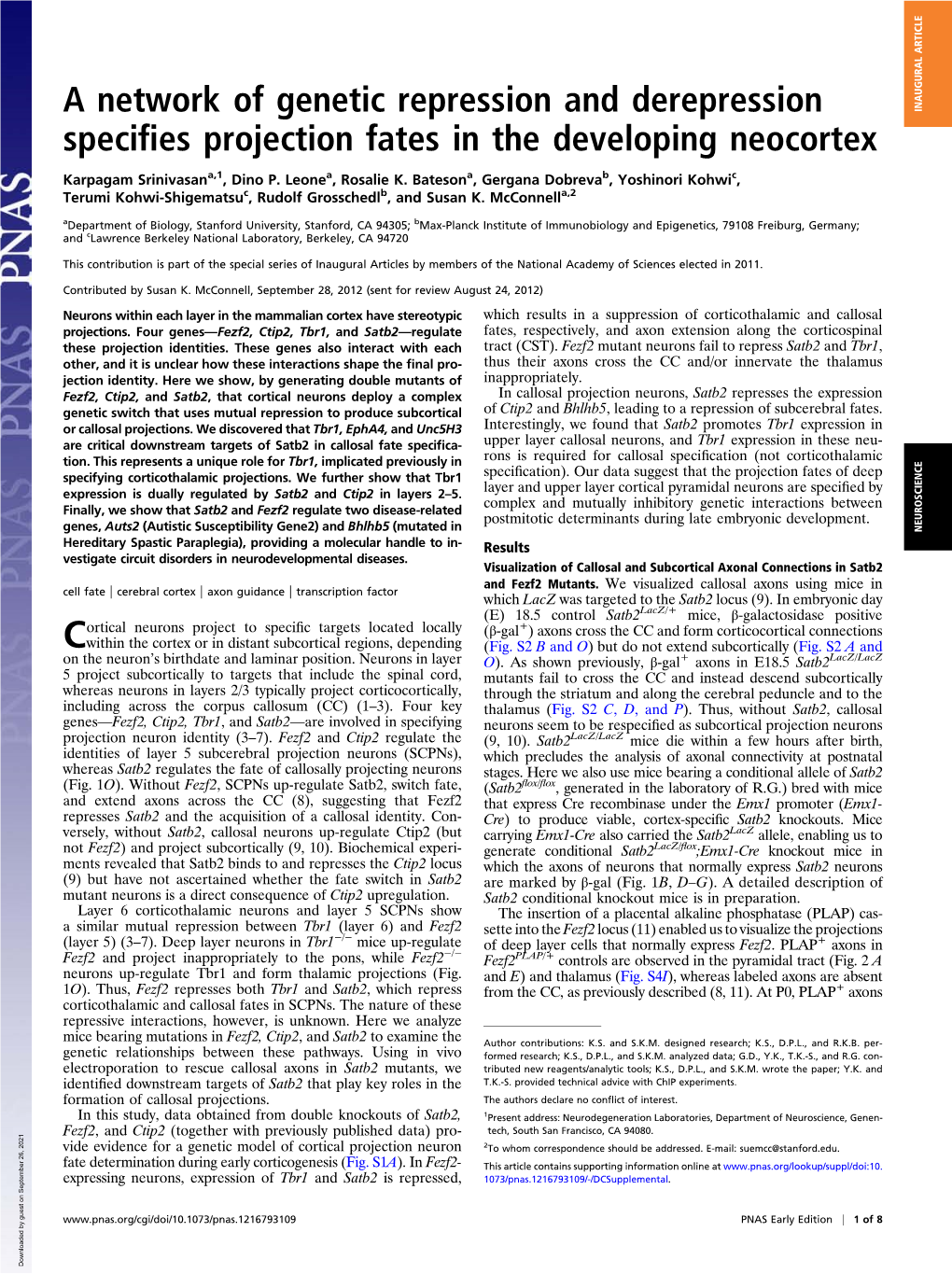 A Network of Genetic Repression and Derepression Specifies Projection