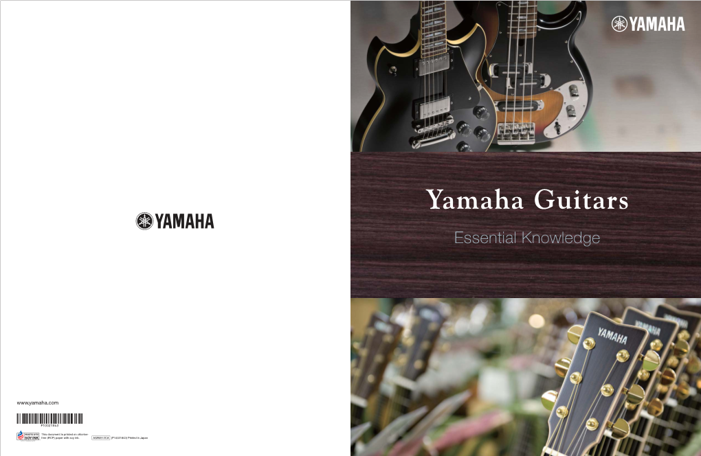 Yamaha Guitar Information