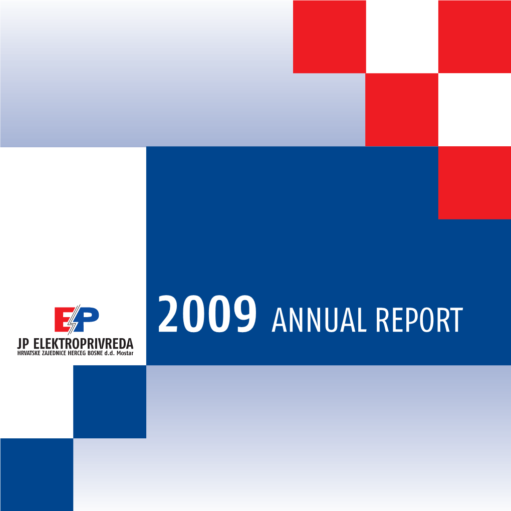 2009 Annual Report