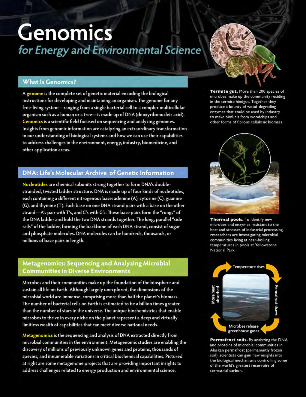 Genomics and Energy and Environmental Science Poster 2011