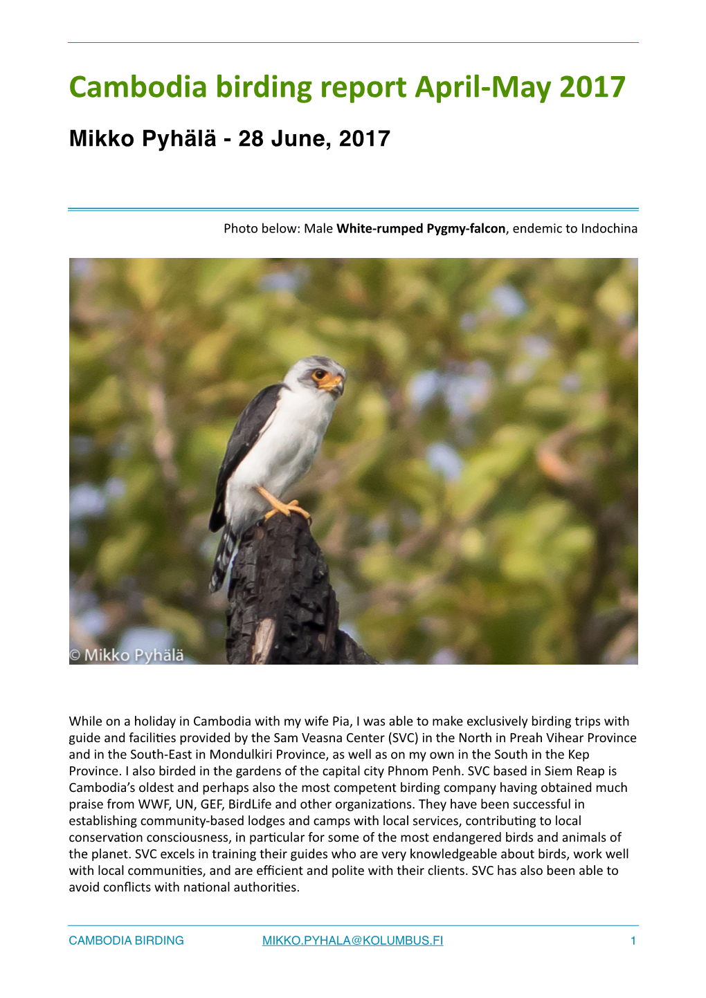 Cambodia Birding Pyhälä