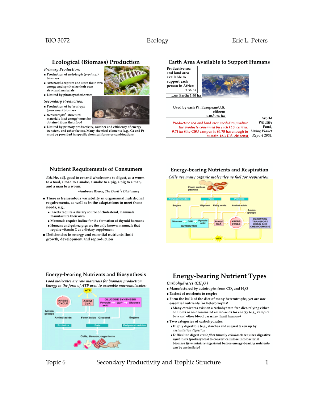 06-Secondary Productivity.Pptx