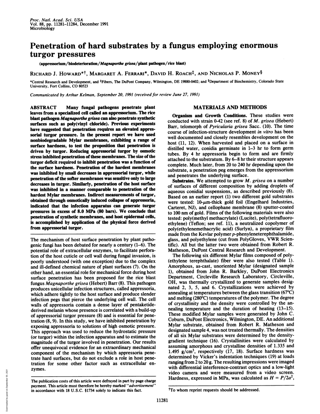 Penetration of Hard Substrates by a Fungus Employing Enormous Turgor Pressures (Appressorium/Biodeterioration/Magnaporthe Gnsea/Plant Pathogen/Rice Blast) RICHARD J