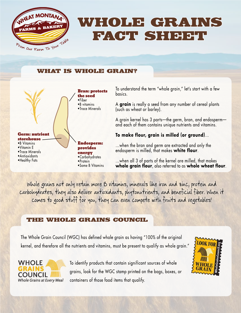 Whole Grains Fact Sheet