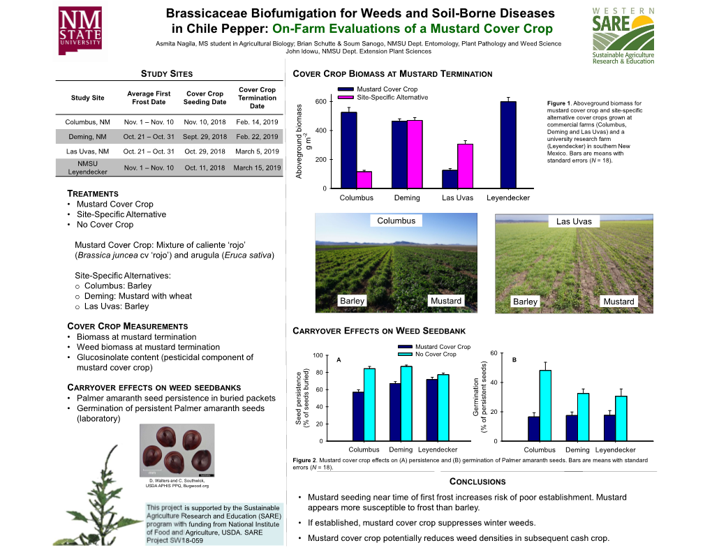 Brassicaceae Biofumigation for Weeds and Soil-Borne Diseases In