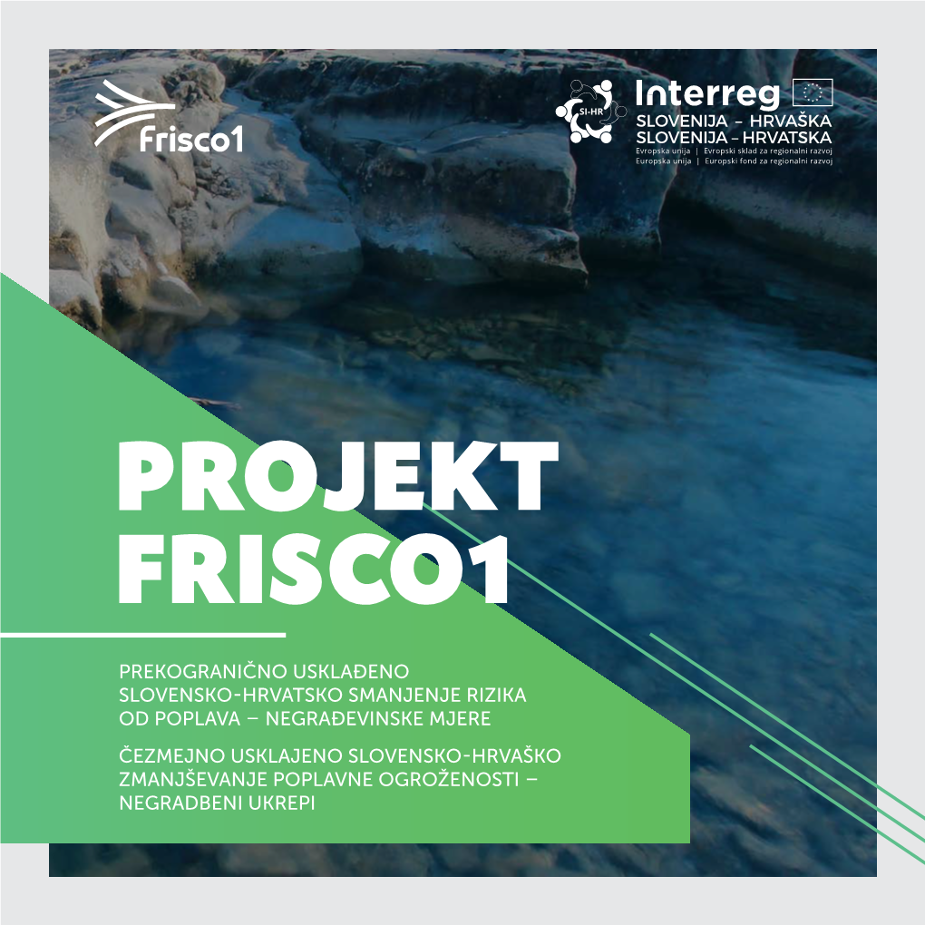 Projekt Frisco1