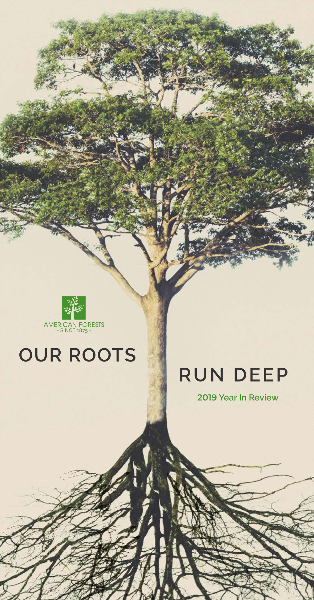 OUR ROOTS RUN DEEP 2019 Year in Review AMERICAN FORESTS’ IMPACT